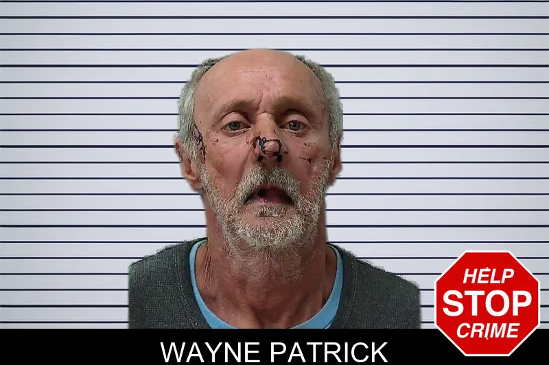 Wayne Patrick mugshot