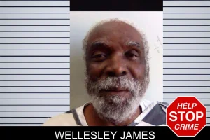 Wellesley James mugshot