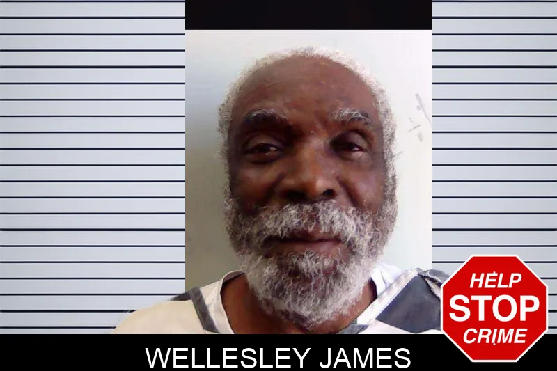 Wellesley James mugshot – Evans County , Georgia Wellesley James mugshot