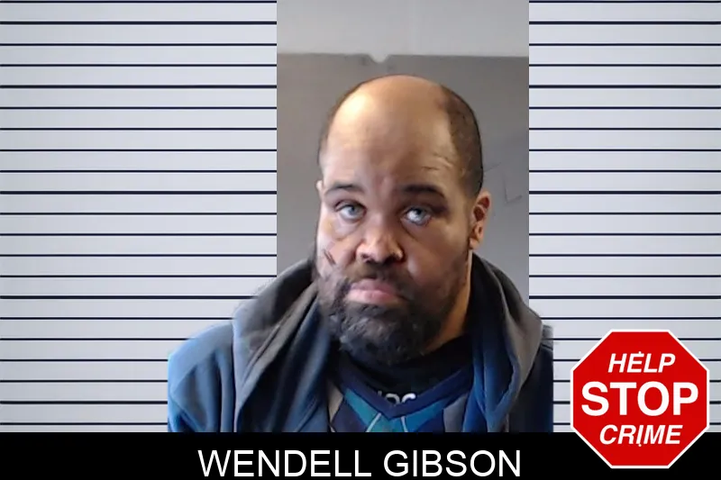 Wendell Gibson mugshot – DeKalb County , Georgia Wendell Gibson mugshot