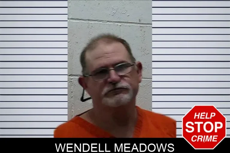 Wendell Meadows mugshot – Pierce County , Georgia Wendell Meadows