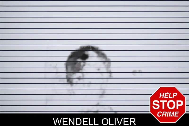 Wendell Oliver mugshot – Meriwether County , Georgia Wendell Oliver mugshot