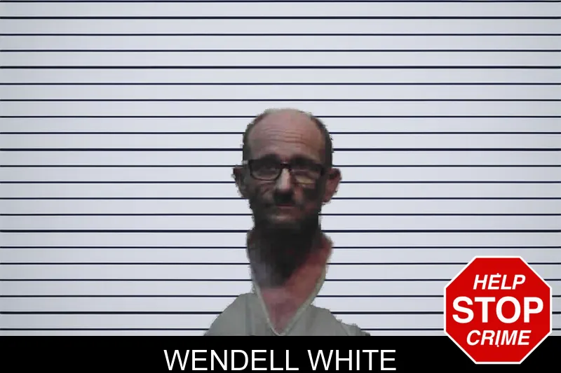 Wendell White mugshot – Meriwether County , Georgia Wendell White mugshot