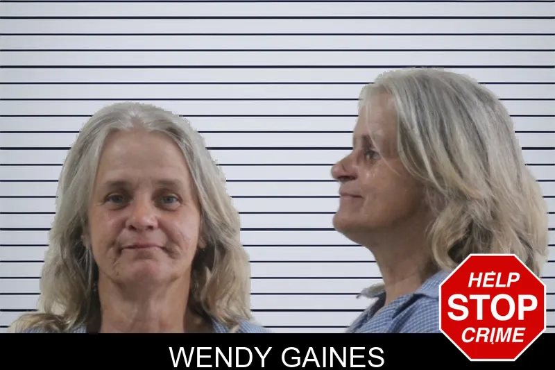 Wendy Gaines mugshot – Houston County , Georgia Wendy Gaines mugshot
