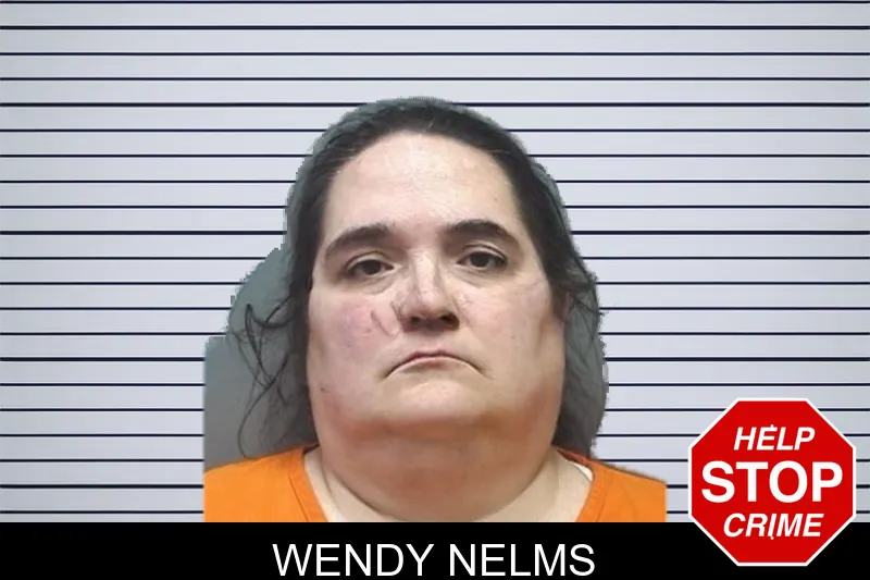 Wendy Nelms mugshot