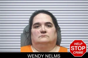 Wendy Nelms mugshot