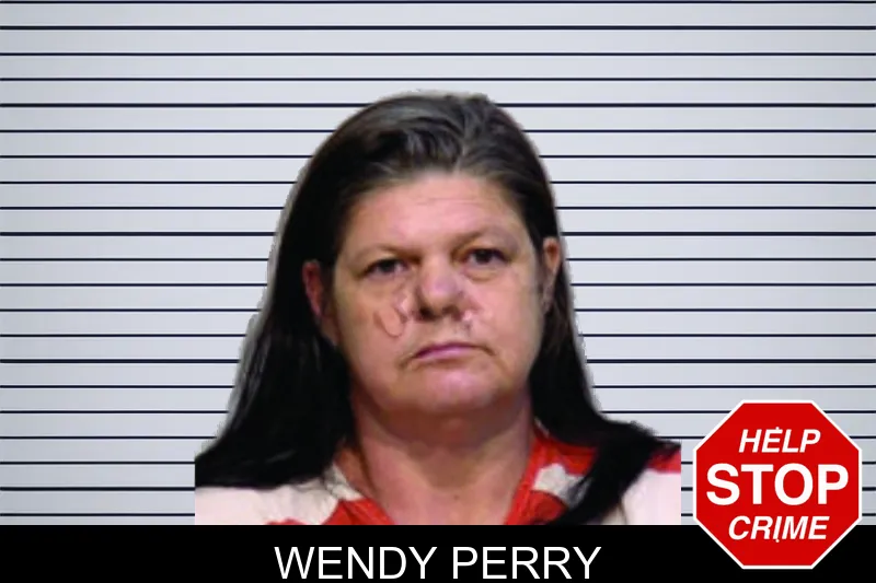 Wendy Perry mugshot – Bartow County , Georgia Wendy Perry mugshot