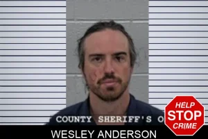 Wesley Anderson mugshot