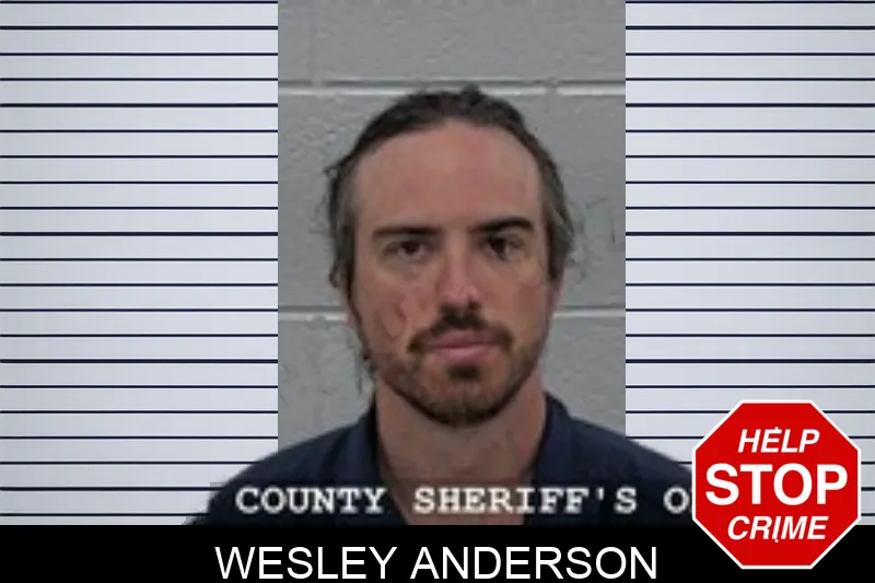 Wesley Anderson mugshot
