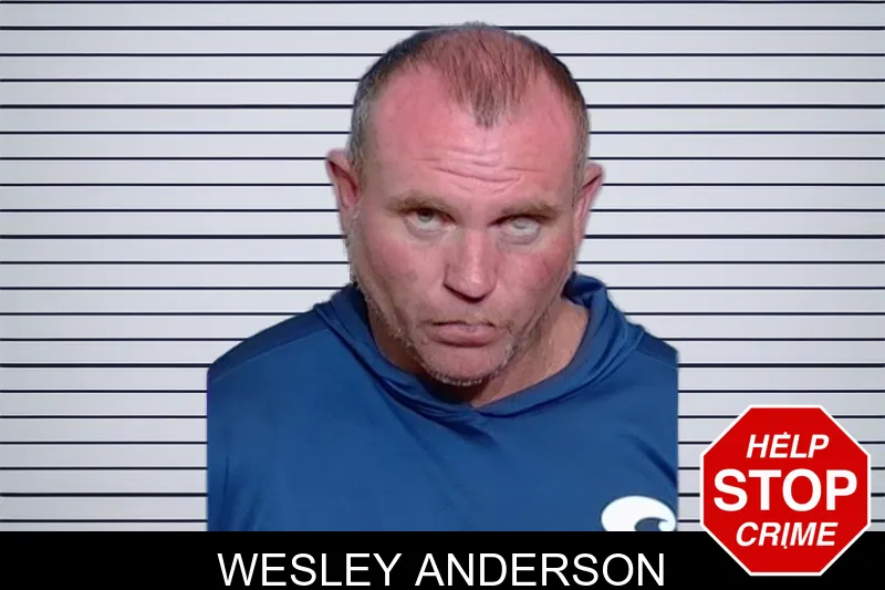 Wesley Anderson mugshot