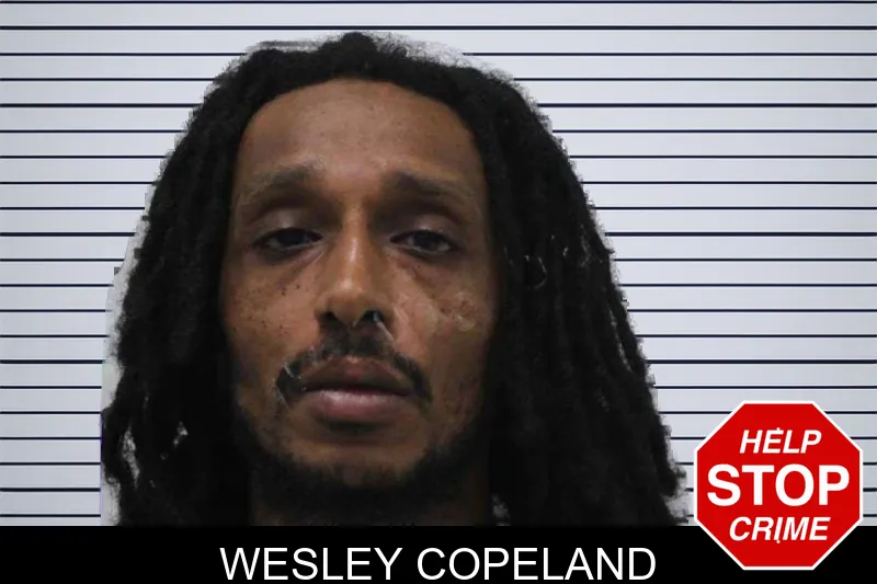 Wesley Copeland mugshot