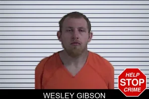 Wesley Gibson mugshot