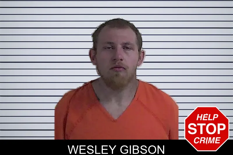 Wesley Gibson mugshot – Fannin County , Georgia Wesley Gibson mugshot