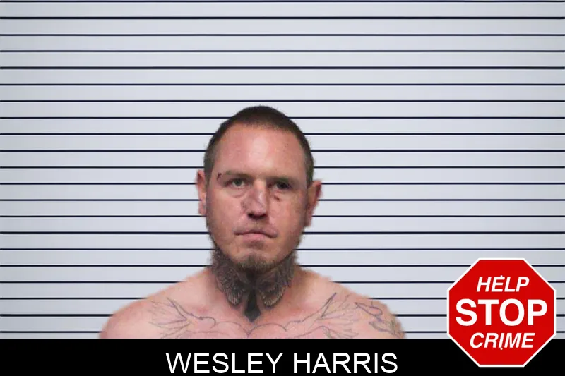 Wesley Harris mugshot