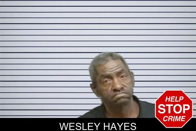 Wesley Hayes mugshot – Fulton County , Georgia Wesley Hayes