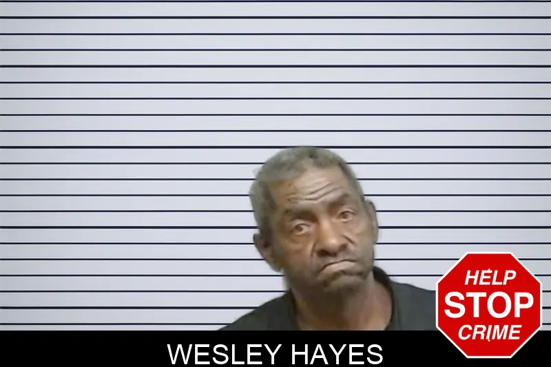 Wesley Hayes mugshot