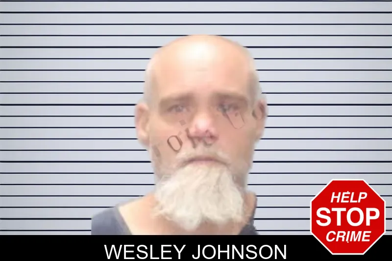 Wesley Johnson mugshot
