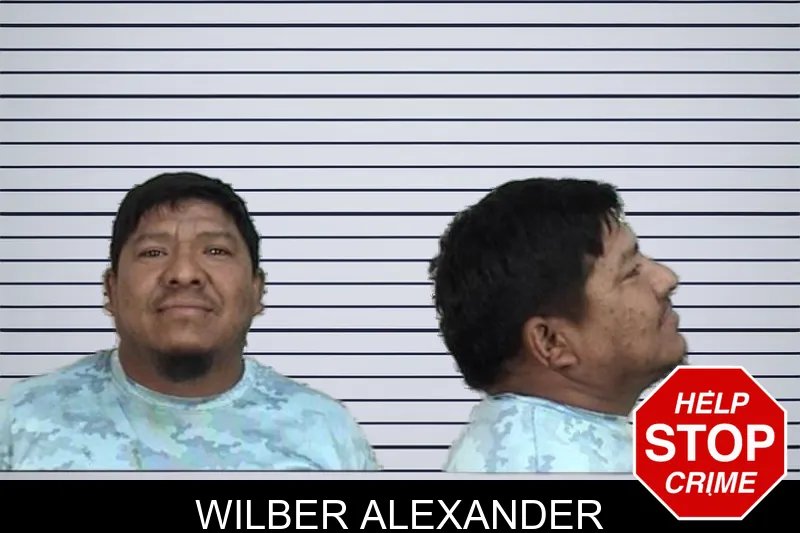 Wilber Alexander mugshot – Camden County , Georgia Wilber Alexander mugshot