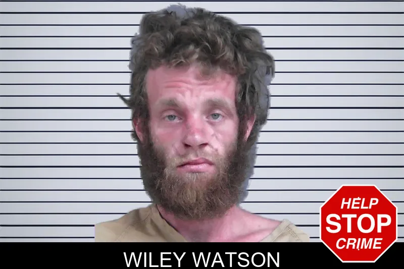 Wiley Watson mugshot