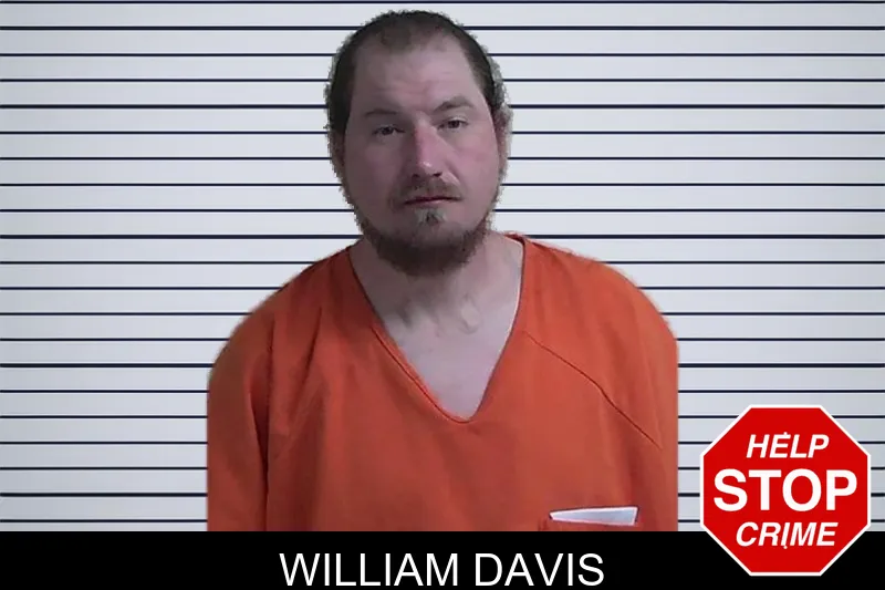 William Davis mugshot – Fannin County , Georgia William Davis mugshot