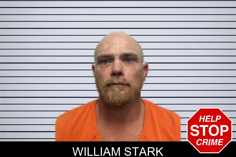William Stark mugshot – Dade County , Georgia William Stark mugshot