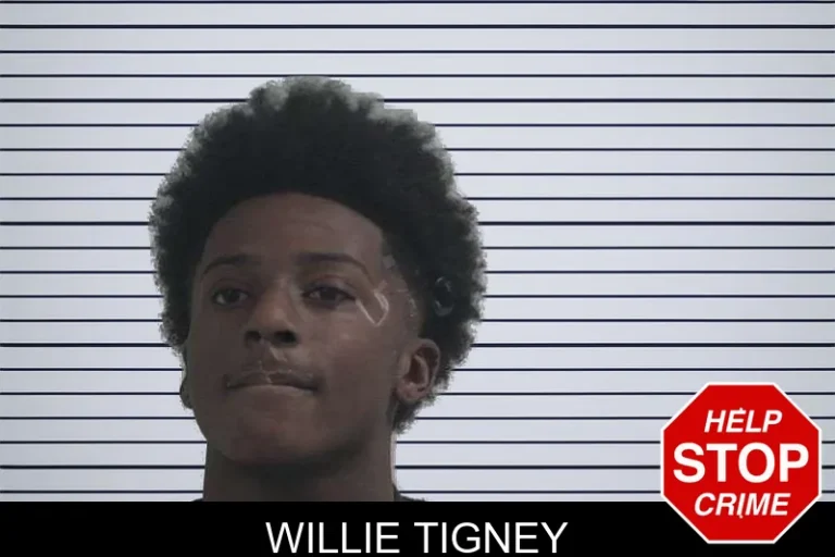 Willie Tigney