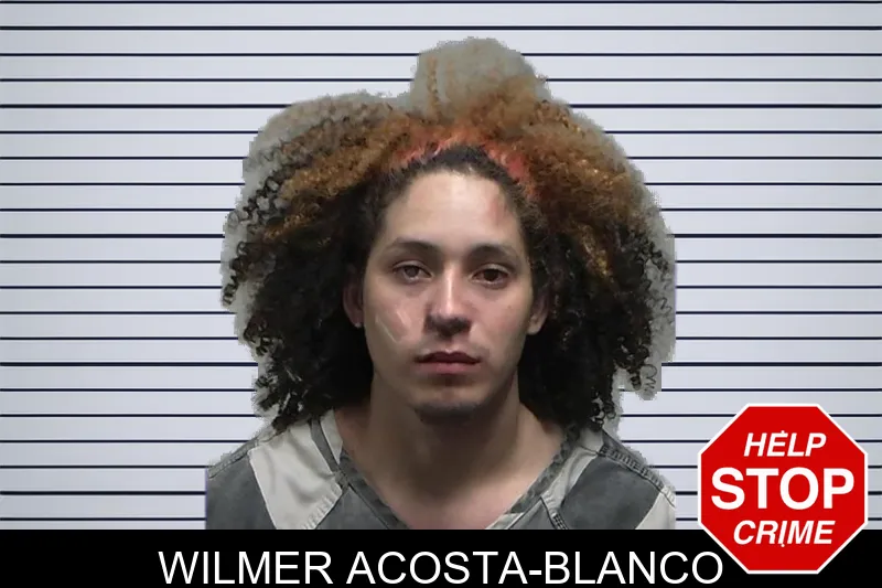 Wilmer Acosta-Blanco mugshot