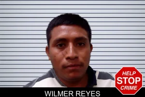 Wilmer Reyes mugshot