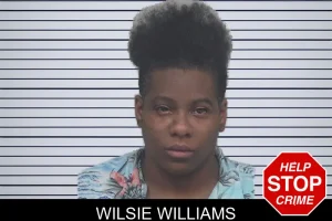 Wilsie Williams mugshot