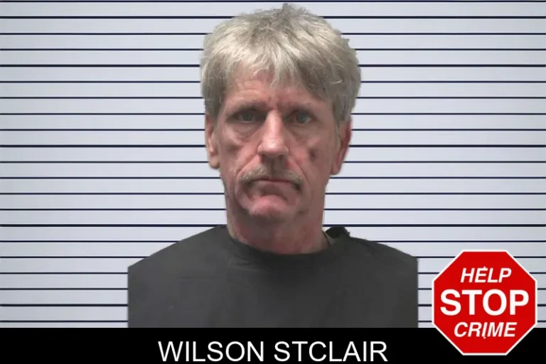 Wilson Stclair mugshot – Coweta County , Georgia Wilson Stclair