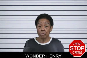 Wonder Henry mugshot