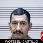 Wotzbeli Castillo mugshot