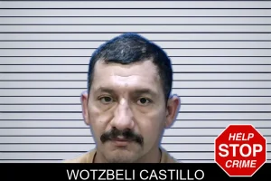 Wotzbeli Castillo mugshot