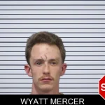 Wyatt Mercer mugshot