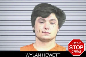 Wylan Hewett mugshot