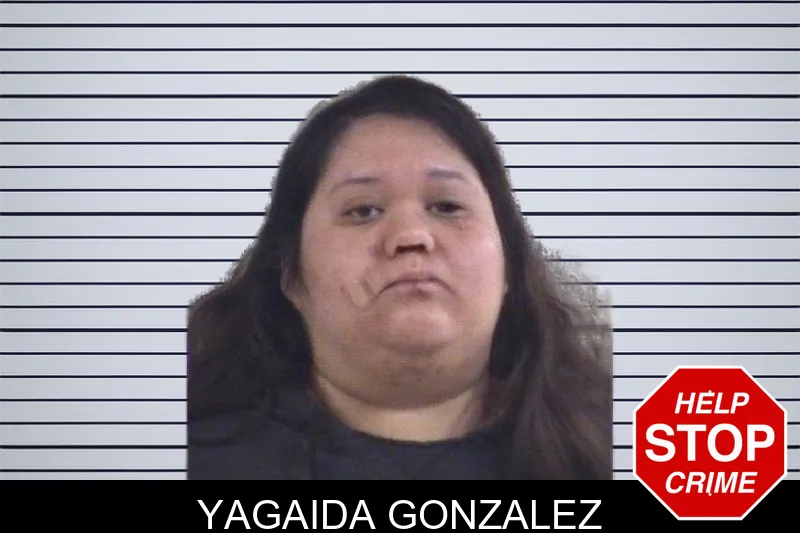 Yagaida Gonzalez mugshot