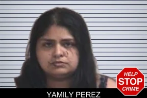 Yamily Perez mugshot