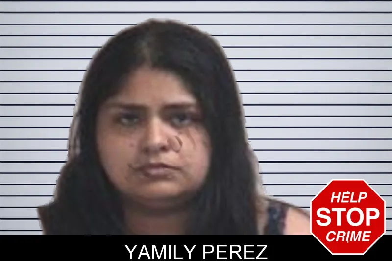 Yamily Perez mugshot
