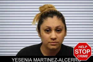 Yesenia Martinez-Alcerro mugshot