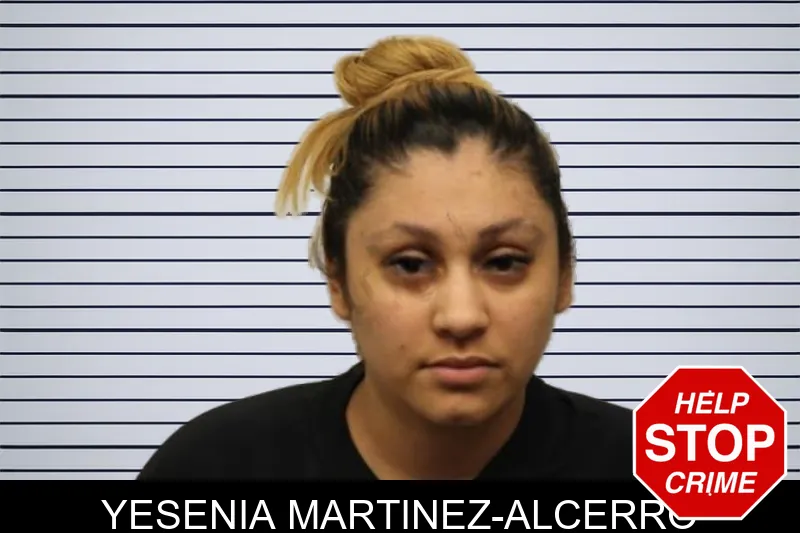 Yesenia Martinez-Alcerro mugshot