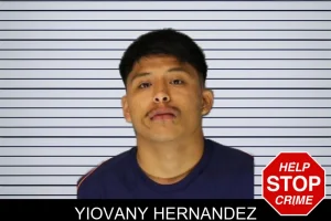 Yiovany Hernandez mugshot