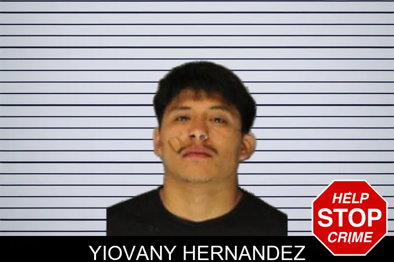 Yiovany Hernandez mugshot