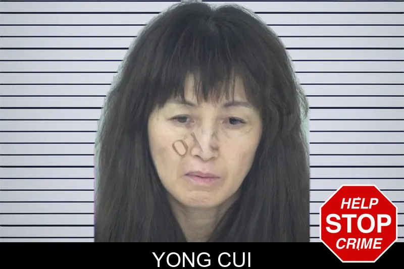 Yong Cui mugshot