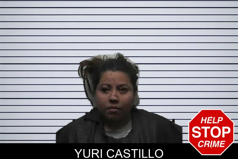 Yuri Castillo mugshot