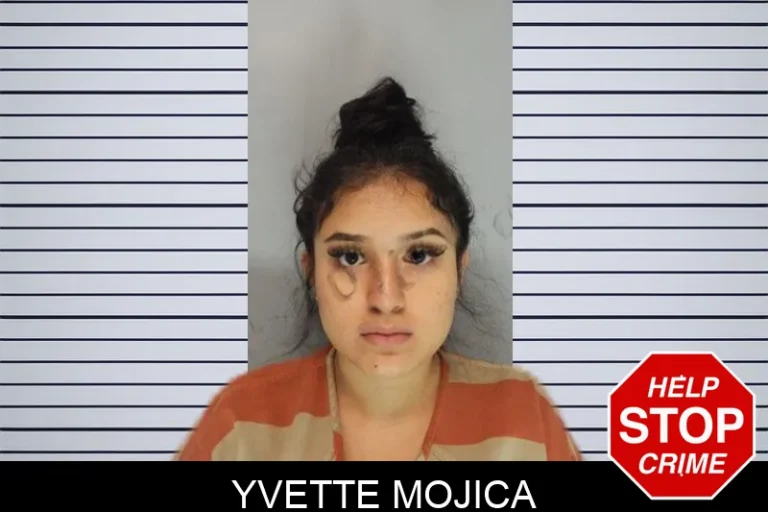 Yvette Mojica mugshot – Hall County , Georgia Yvette Mojica