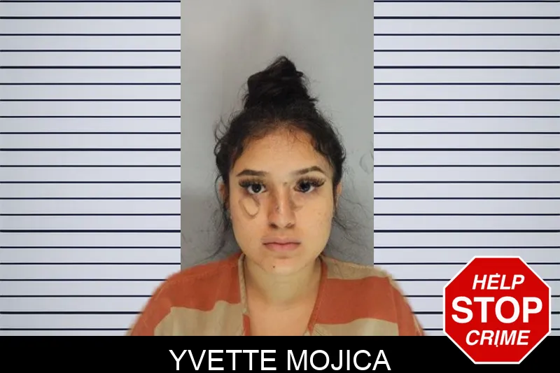 Yvette Mojica mugshot