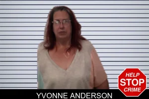 Yvonne Anderson mugshot