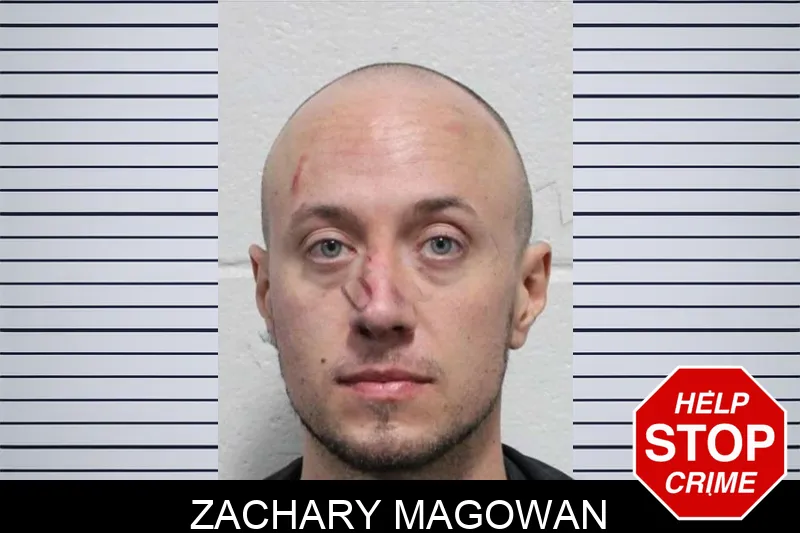 Zachary Magowan mugshot