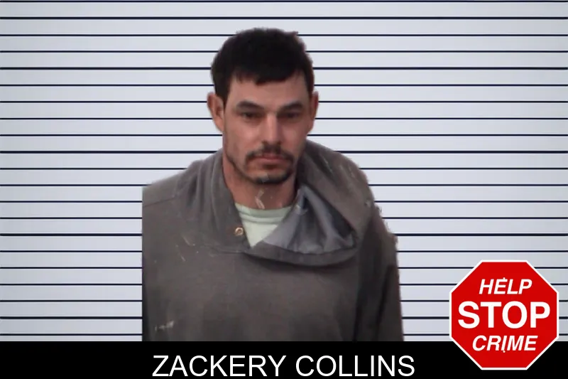 Zackery Collins mugshot – Emanuel County , Georgia Zackery Collins mugshot