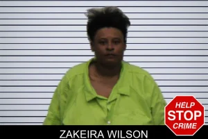 Zakeira Wilson mugshot